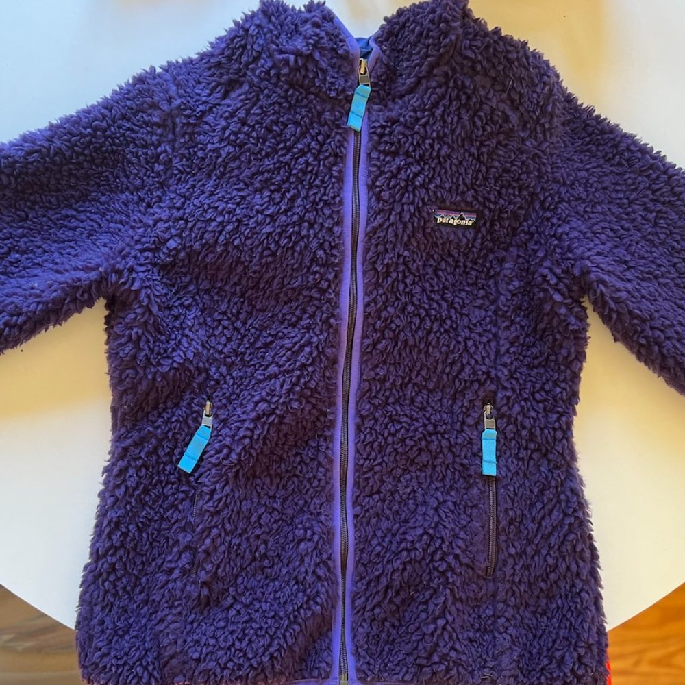 Patagonia Retro Pile Hooded Jacket